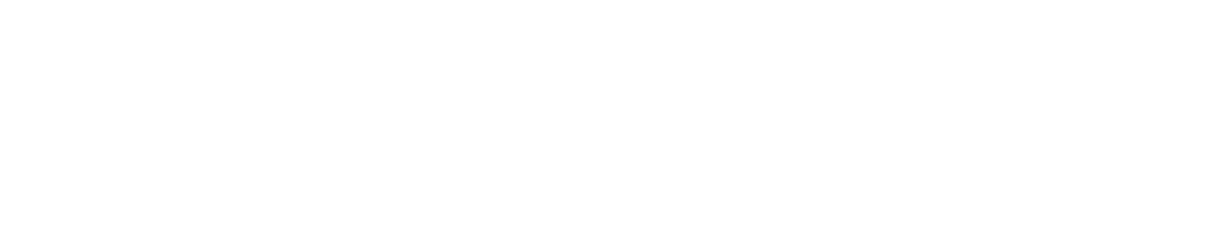 musicnet_Evolution3